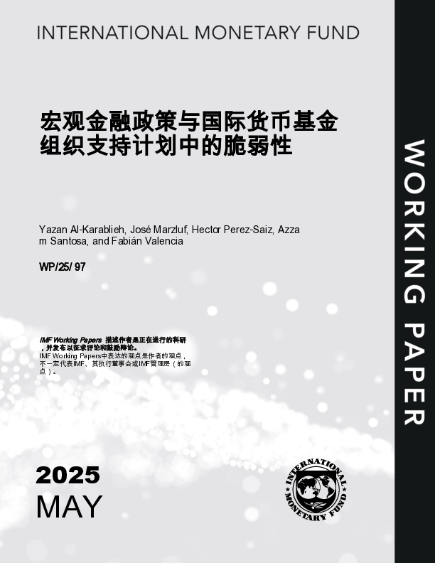 支持的计划中的宏观金融政策和脆弱性